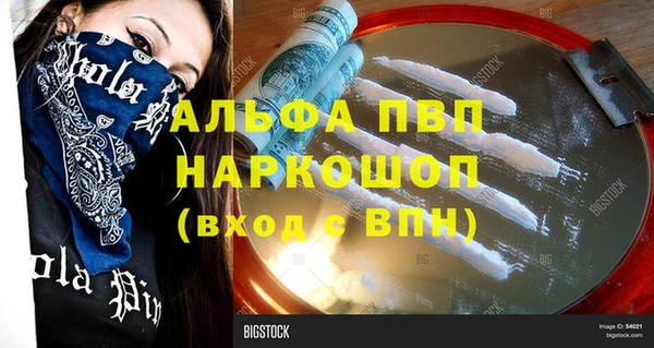 гашик Алексеевка