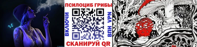 KRAKEN онион  Зеленогорск  Галлюциногенные грибы ЛСД  купить  