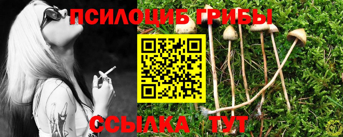 Гашиш  Вход с VPN  MDMA  COCAIN  ЭКСТАЗИ  Марихуана  Зеленогорск  Меф кристаллы 