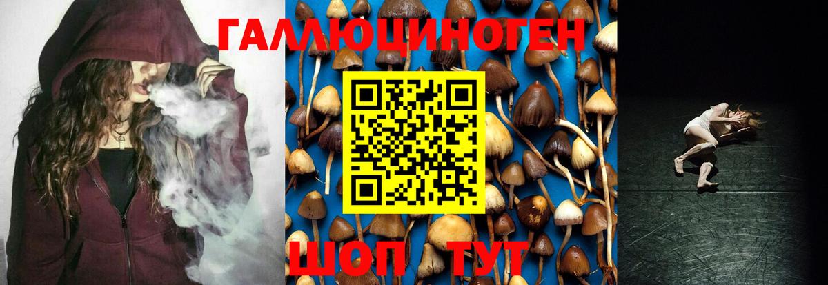Галлюциногенные грибы прущие грибы  Галлюциногенные грибы Psilocybine cubensis  Вход с VPN  Зеленогорск 