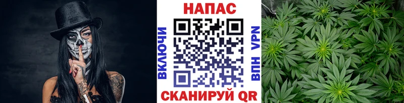 хочу Зеленогорск Бошки Шишки White Widow